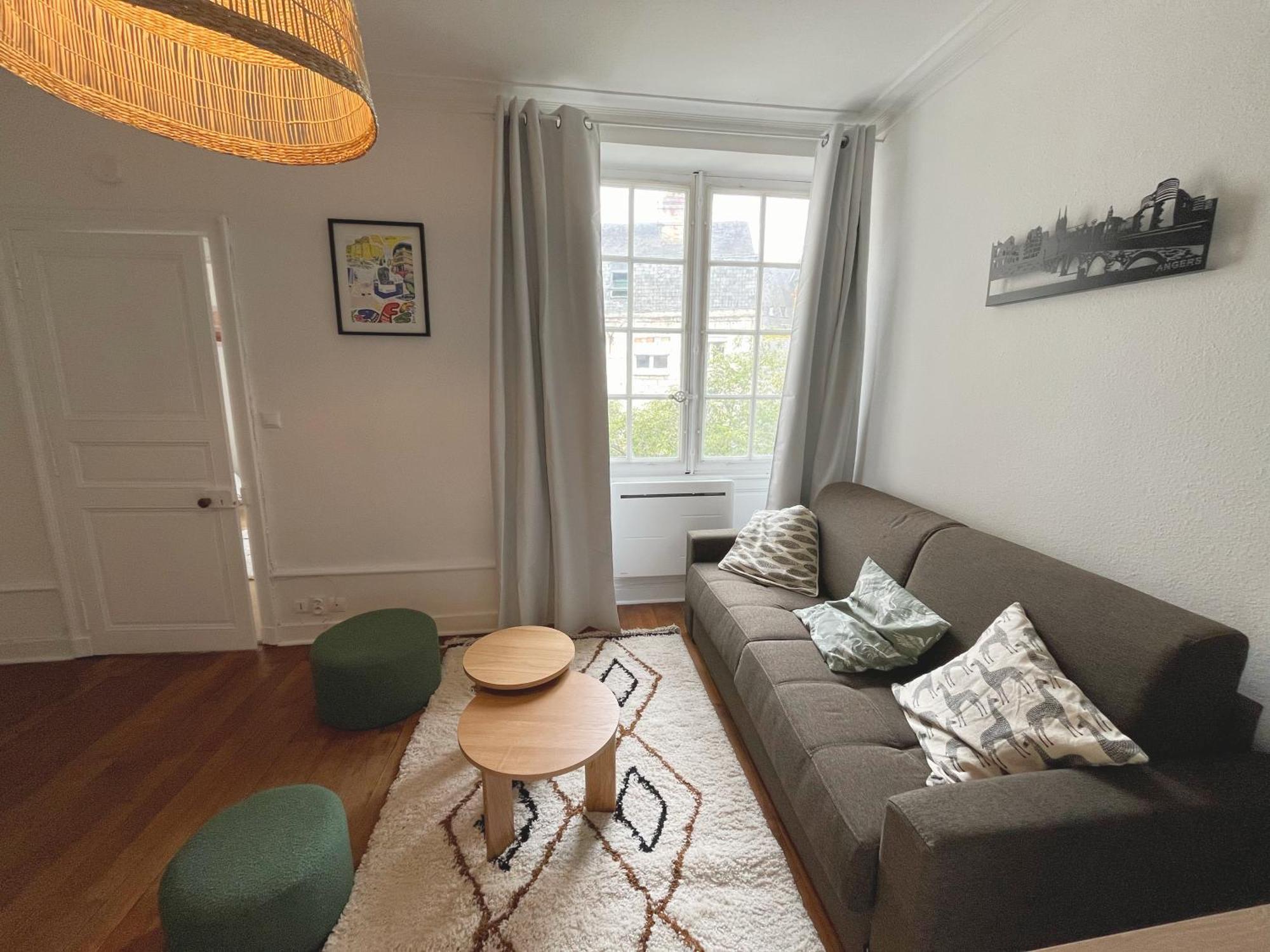 Le Cocon Angevin Appartement Angers