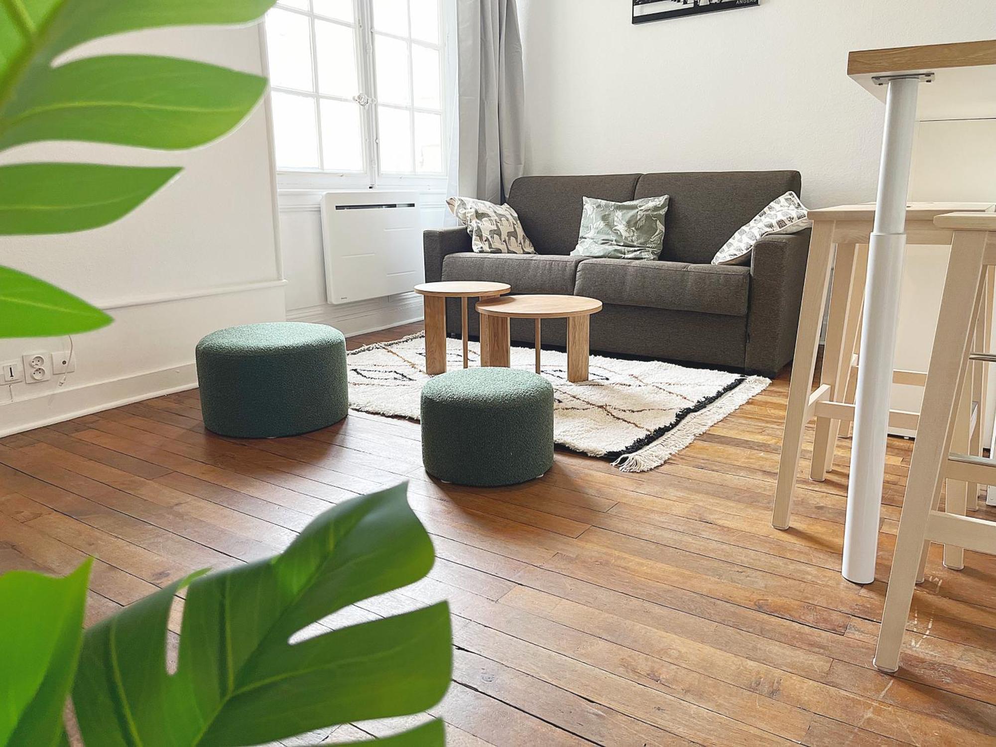 Apartamento Le Cocon Angevin Angers