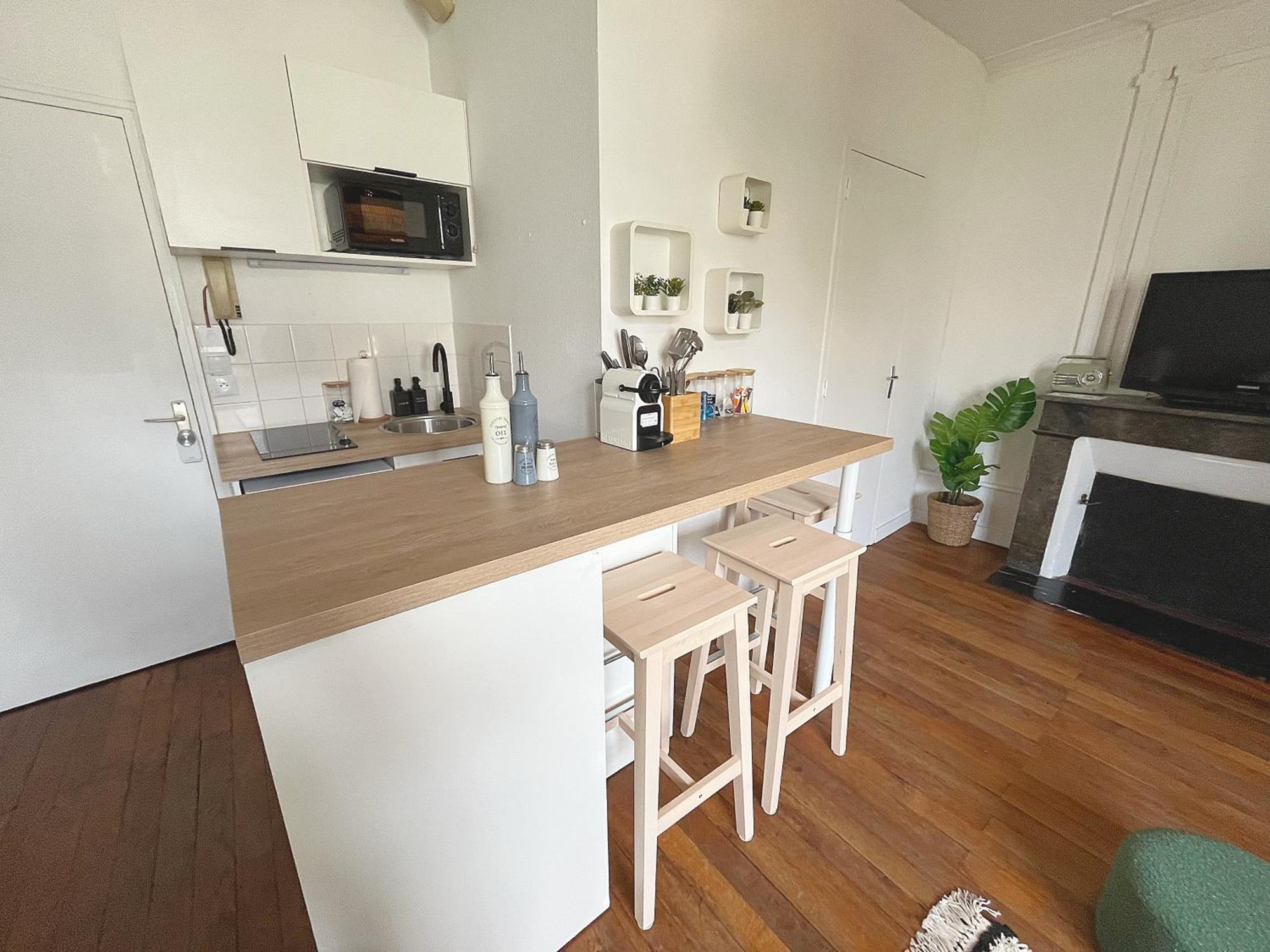 Appartement Le Cocon Angevin Angers